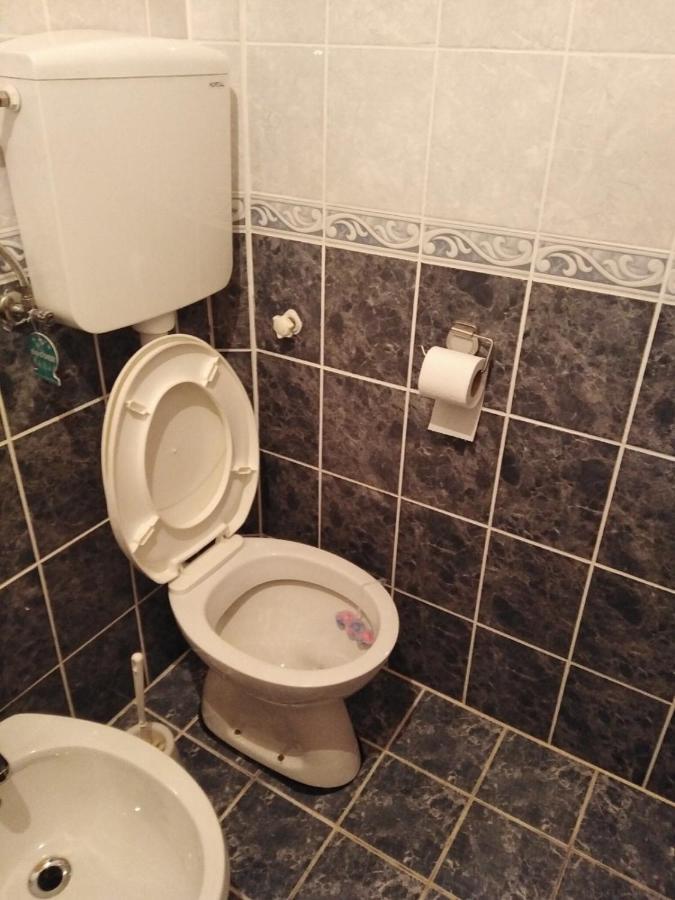 Apartmani Milojevic Divcibare Exterior photo